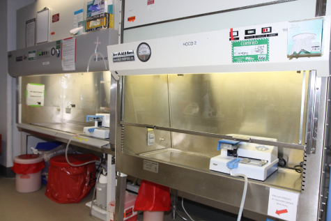 ICCB-Longwood tissue culture area