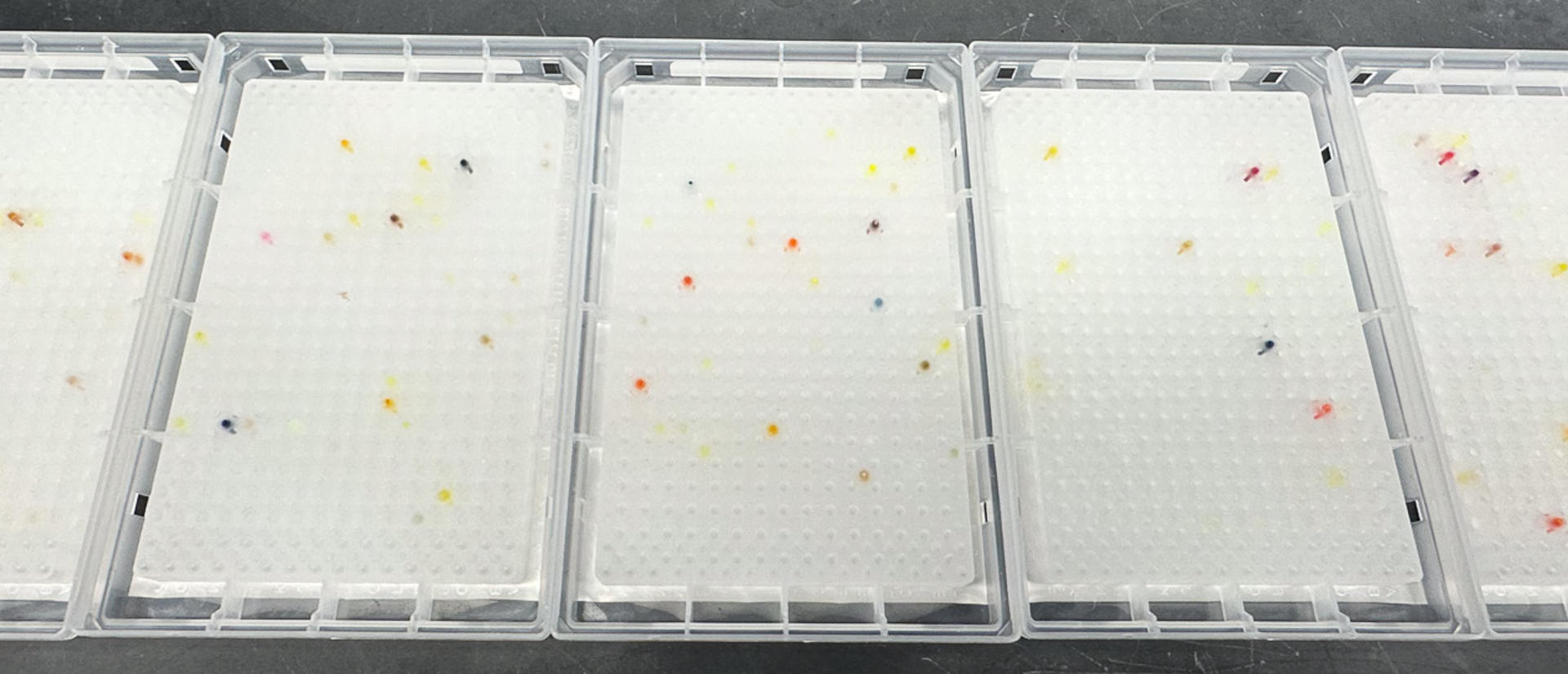 Small molecule compound microplates upside down to see the colorful contents within